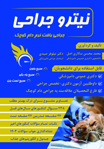 نیترو جراحی