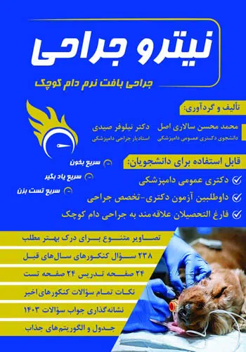 نیترو جراحی