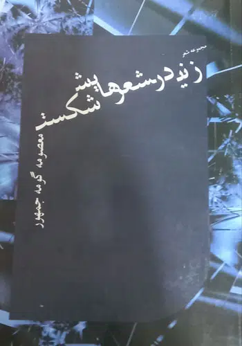 زنی در شعرهایش شکست